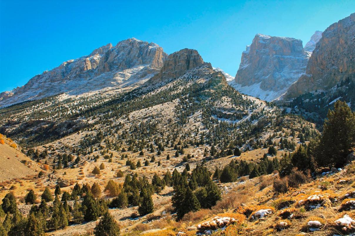 Aladaglar Mountain Hostel Cukurbag  Εξωτερικό φωτογραφία