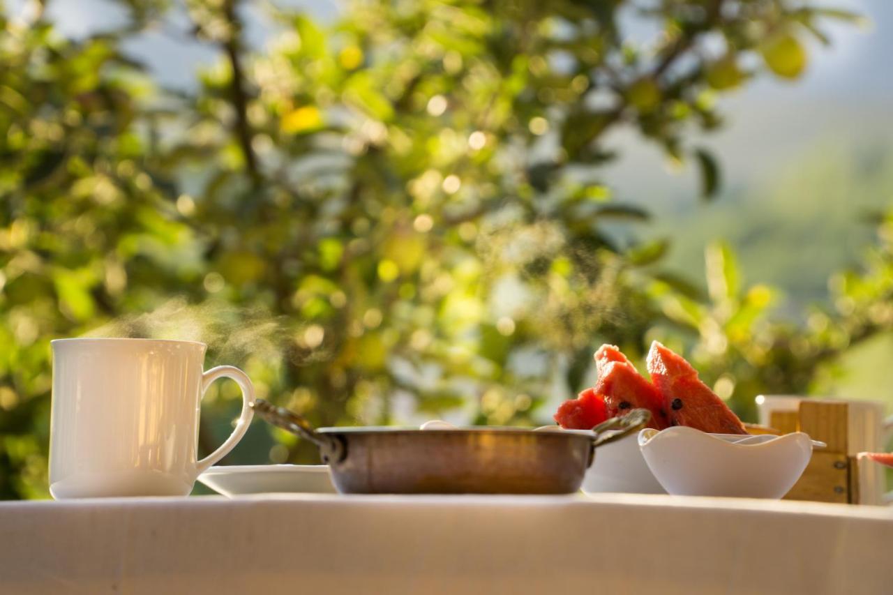 Aladaglar Mountain Hostel Cukurbag  Εξωτερικό φωτογραφία